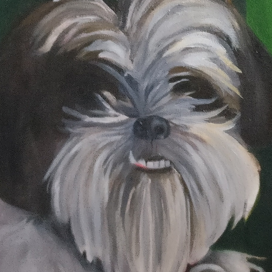 close up of dog